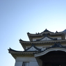 The castle