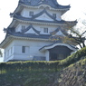 The castle