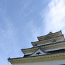 The castle