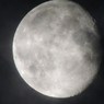 RSCN0794
