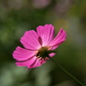useing@