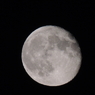 DSCN1917