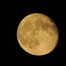 DSCN1921