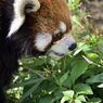 _DSC0595