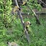 _DSC0797