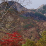 白山 / 秋の平瀬道から