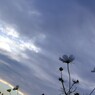 空色