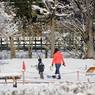 雪の朝の散歩