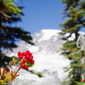 jewel of the mountain