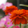 P7150326
