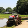 公園の中の田圃