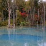 北海道・富良野・層雲峡・紅葉