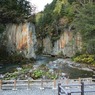 北海道・富良野・層雲峡・紅葉