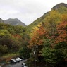 北海道・富良野・層雲峡・紅葉