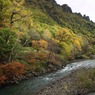 北海道・富良野・層雲峡・紅葉