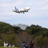 飛行機の見える丘