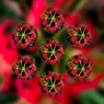 彼岸花幻想万華鏡7