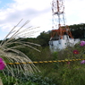 円海山
