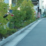さみしい