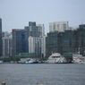 5D3_3446s