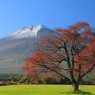 牧野の紅葉Ⅰ