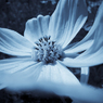 R0012706