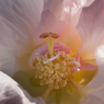 R0012718