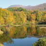 月山・地蔵池の紅葉-2