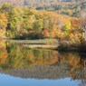 月山・地蔵池の紅葉-3