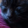 「まだ眠い・・・」