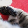 歩き疲れて・・