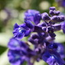 DSC01552