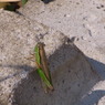 2012 10 27 133
