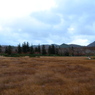 photo_2162880