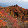 紅葉の山