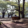 代々木公園