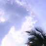 A DAY AT BINTAN ISLAND 6