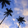 A DAY AT BINTAN ISLAND 9