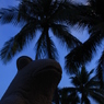 A DAY AT BINTAN ISLAND 10