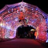 2012信州大芝高原イルミネーションフェスティバル