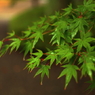 一滴