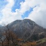 IMG_4917