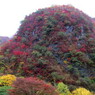 日光の紅葉