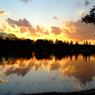 昭和記念公園の夕日2