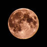 濃尾平野から見上げた満月（撮影時の月齢14.5）