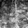 PICT0007