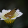 0907sp-0024