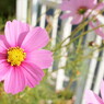 DSC01910