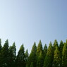 空