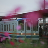 7T3A9944